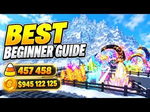 Video Guides